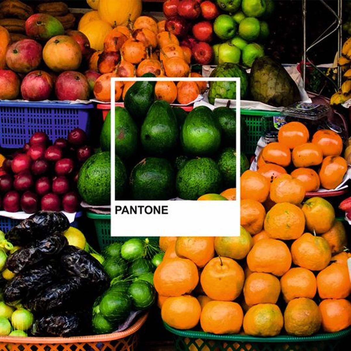 Pantone-Farbbeispiele-Obst