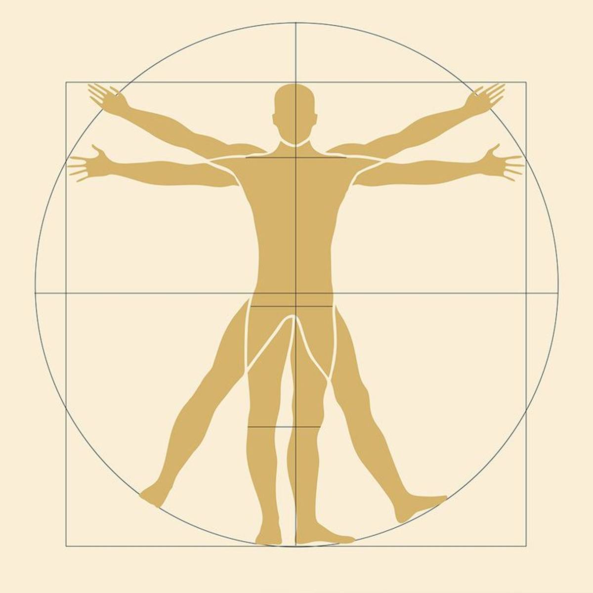 Menschliche Proportionen nach Davinci