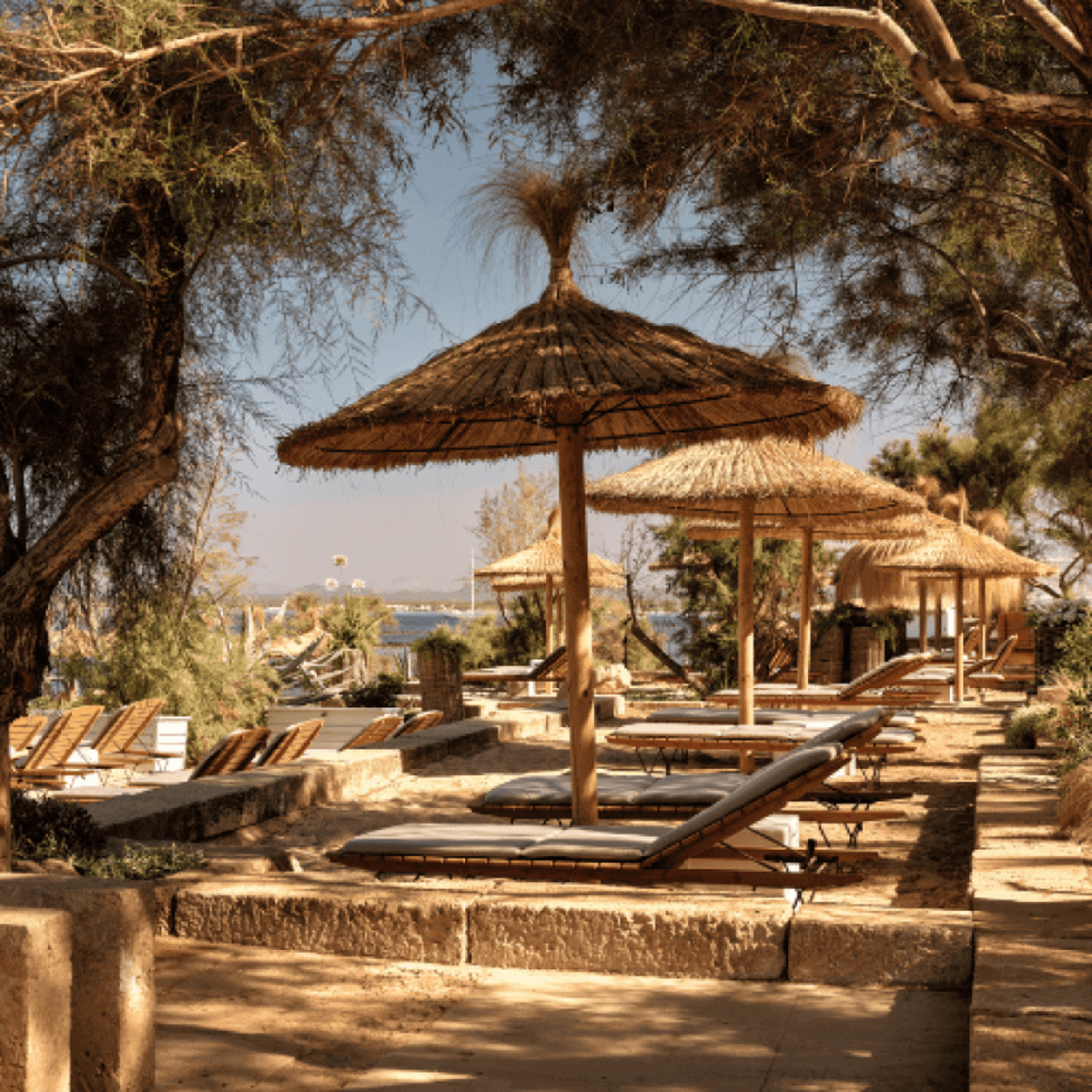 ArtNight Retreat Mallorca