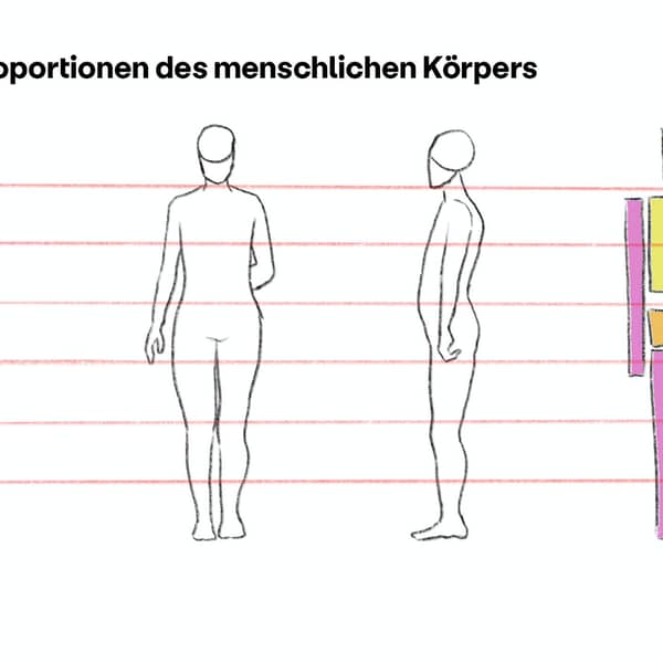 Menschliche Aufteilung Proportionen