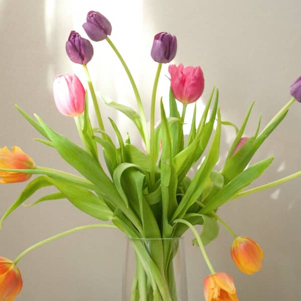 Blumen in einer Vase Blumen in einer Vase