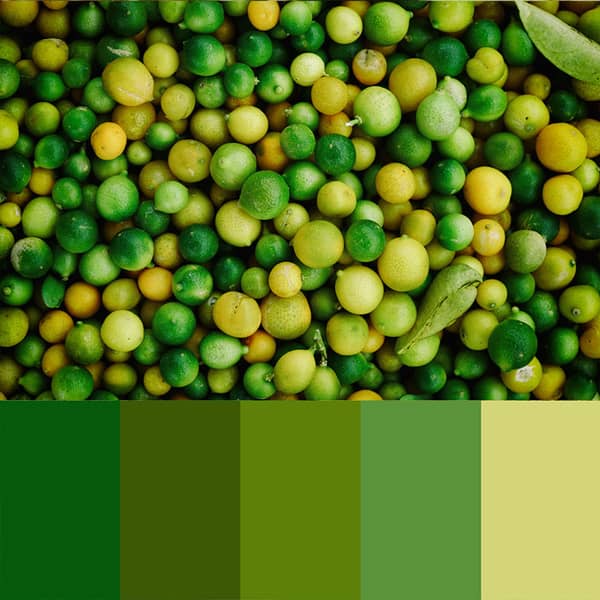 unterschiedliche Grüntöne