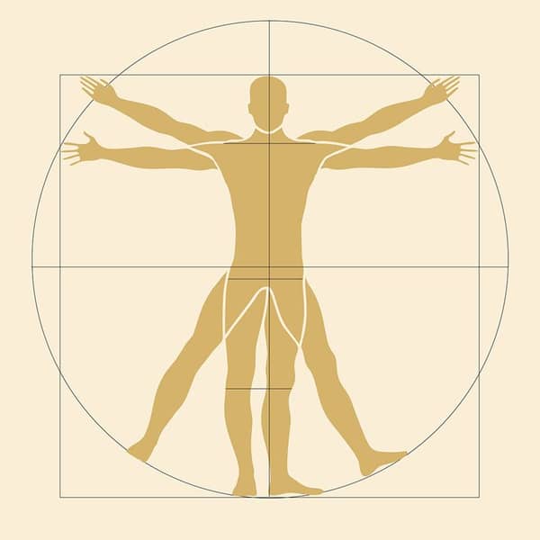 Menschliche Proportionen nach Davinci