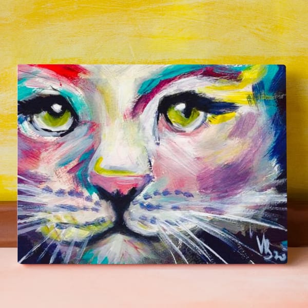 Bunte Katze – Bild 1 von 4