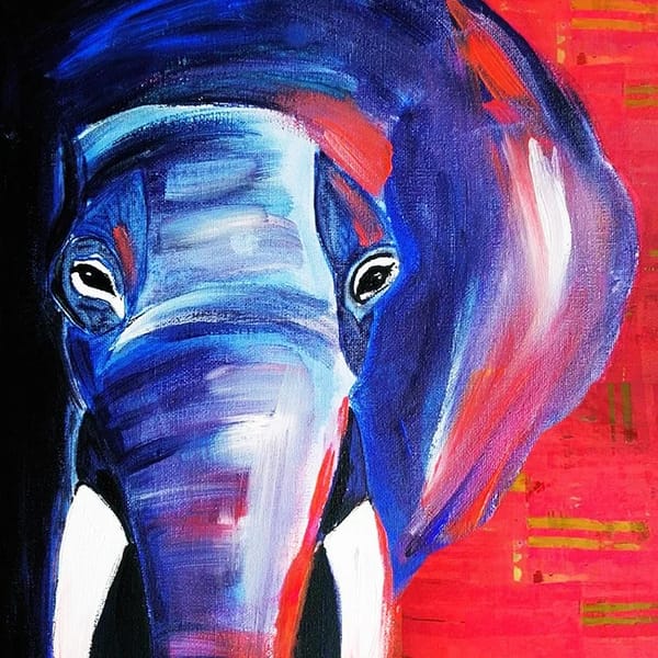 Elefant – Bild 1 von 1