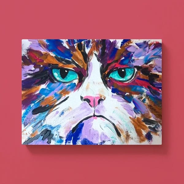 Grumpy Katze – Bild 1 von 4